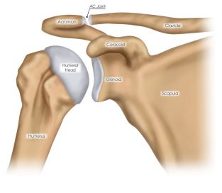 Shoulder Surgeon Chicago IL | Dr. Steven Chudik